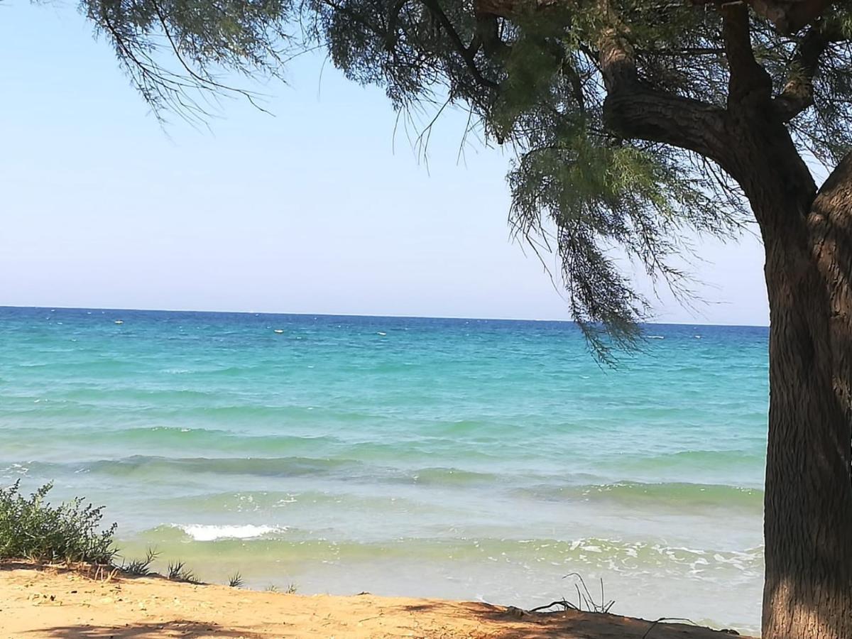 Apartamento Tra Vento E Mare Lendinuso Exterior foto